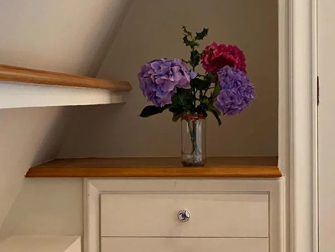 Olatu Haundia Donostian Апартаменты Сан-Себастьян